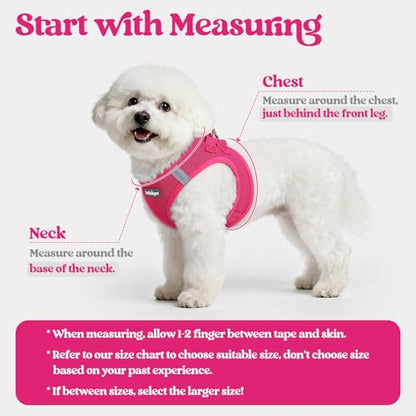 rabbitgoo Dog Harness Small Medium Sized and Leash Set, Step in Soft Light Puppy Vest, Breathable Mesh Pet Harness, Reflective for Safe Easy Walking, Rosa Red XL - color: Rose Red, size: Xl (chest: 20 - 21.8")