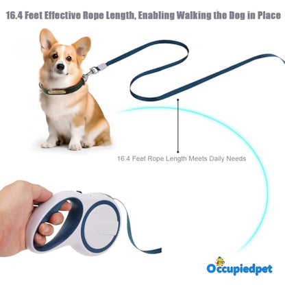 Retractable Dog Leash,16ft Dog Walking Leash Strong Nylon Tape and Anti Slip Handle One-Handed Brake No Tangle for Small Dogs Up to 44lbs.（Gray） - color: Gray