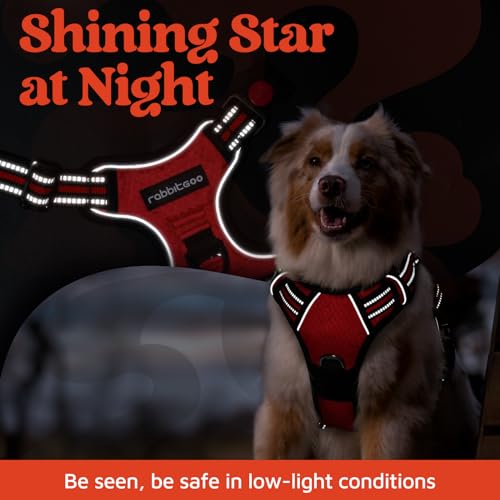 rabbitgoo Dog Harness Small Sized, No Pull Dog Vest with 3 Buckles, Adjustable Soft Padded Pet Harness with Easy Control Handle and Reflective Strips, Red, S - color: Red, size: Small