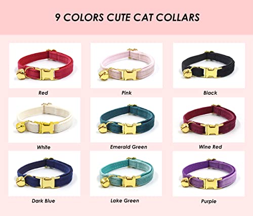Personalized Cat Collar with Engraved Name and Phone Number - Customizable Kitten Collars for Boys and Girls (Velvet) - color: Velvet