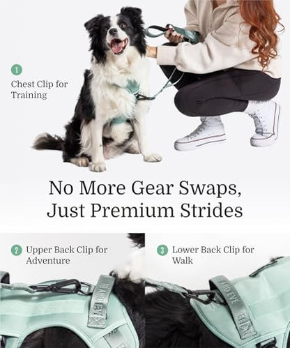 2026 New Edition, Fei & Eve MagEase Dog Harness - Instant Magnetic Buckle | 3-Point No-Pull Control | Heavy-Duty 900D Nylon | Dual Safety Handles | Breathable Mesh | Adjustable Fit | Large,Green - color: Glacier Green, size: L