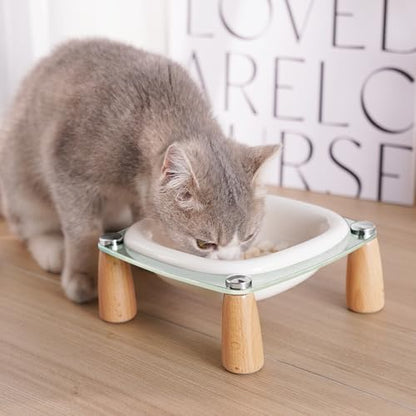 Elevated Cat Bowl and Dog Bowl, Ceramic Raised Pet Bowl with Acrylic & Wood Stand, Non-Slip, 13.5 OZ, for Cats & Small Dogs