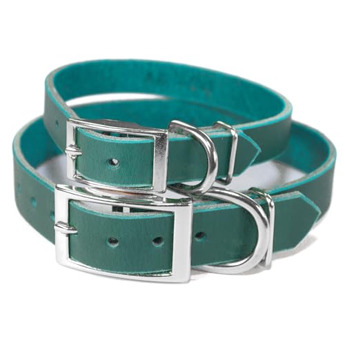 Handmade Studded Bridle Leather Dog Collar, Silver Tone Hardware and Stainless Steel Nameplate (Teal Green) - color: Teal Green