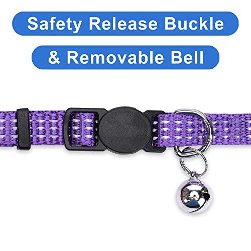 Pawtitas Reflective Purple Cat Collar with Safety Buckle and Removable Bell for Kitten and Cats - color: Reflective Purple