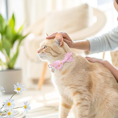 SCENEREAL Spring Cat Collar Breakaway with Bells, 2 Pack Cute Flower Pet Collar with Removable Bow Tie and Bandana, Adjustable Safety Buckle with Daisy Pendants for Girl Cats Kitten - color: Bandanas & Bow (Daisy-Pink)