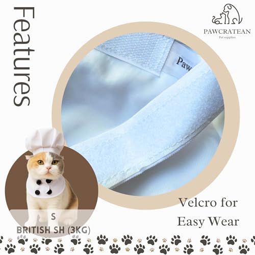 Pet Custom Dog Custom Cat Custom Hoodie, Sporty Look, Funny Gift, Halloween Holiday (Chef, Large) - color: Chef, size: Large