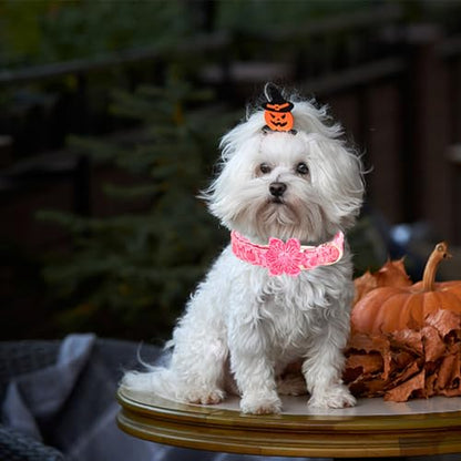Dog Collar, Pink Pumpkin Print Adjustable Pet Collar Cute Cotton Soft Collars with Flower Fall Metal Buckle Holiday Puppy Collars Boy&Girl Gift for Small Dogs - color: B:Pink Pumpkin, size: Small (Pack of 1)