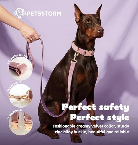 Dog Collar Personalized with Name Engraved - Light Gold Quick Release Buckle, Soft Velvet Lined, Comfortable Gift for Small, Medium, Large Dogs - color: Multicolor Velvet