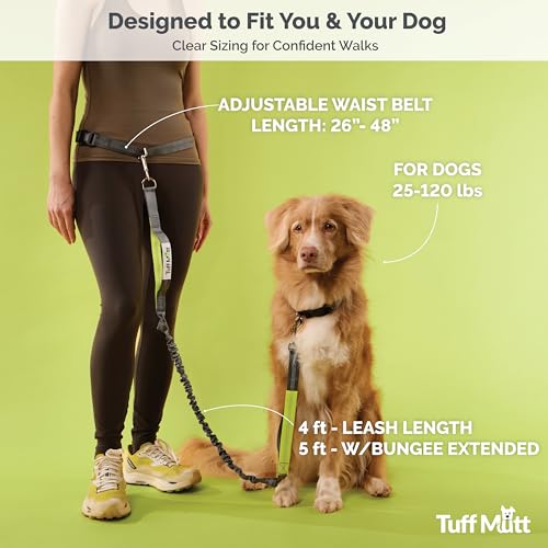 Tuff Mutt Hands-Free Waist Leash for Dog Walking, Running and Hiking, Adjustable Belt with Double Handle, Reflective Bungee Design for Large & Medium Dogs - color: gray/teal