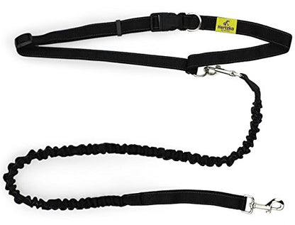 Hertzko Hands Free Dog Leash Great Running Leash for m=Medium to Large Dogs - Strong, Durable and Weather Resistant Nylon Bungee Leash (36 inches Bungee)