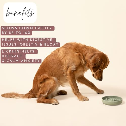 Should We Go? Slow Feeder for Dogs & Puppies, The Slowdown Bowl Silicone Slow Eating, Modern Lick Mat Design, Reduces Gulping, Fits 2 Cups, 7.5” Across x 1.5” Tall, Mealtime Challenge, Medium-Sage - color: Sage - Sunset Design, size: Medium (7.5” Across x