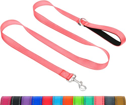 Taglory Dog Leash for Medium Large Dogs, Double-Sided Reflective for Night Walking, Neoprene Padded Handle, 1 inch by 4 ft, Heavy Duty for Medium Large Breeds 20-150 lbs, Pink - color: Pink, size: 1 in x 4 ft (Pack of 1)