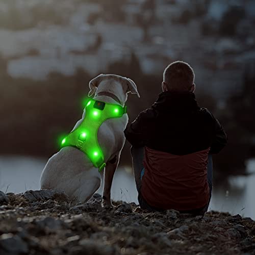 LED Dog Harness - Safety Light Up Dog Vest, No-Pull Dog Harness, Rechargeable Glowing Pet Harness for Dogs Nighttime Walking (Green, Medium) - color: Green, size: Medium