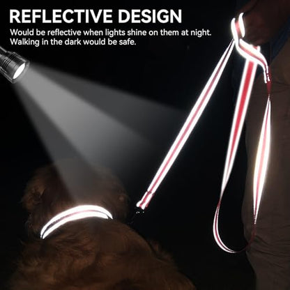 Joytale Dog Leash, 4 FT Double-Sided Reflective, Padded Handle Nylon Heavy Duty Leashes for Small Dogs Walking, Neon Pink - color: Neon Pink, size: 4 ft Narrow