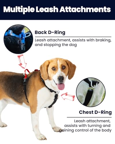 Non-Restrictive Dog Harness, Neck Buckle Design, Easy Walk Freedom No Pull Harness, Keep Balance, Six Points Adjustment, for Large Dogs Chest(25-35 inches) Blue/Black - color: Blue/Black, size: L