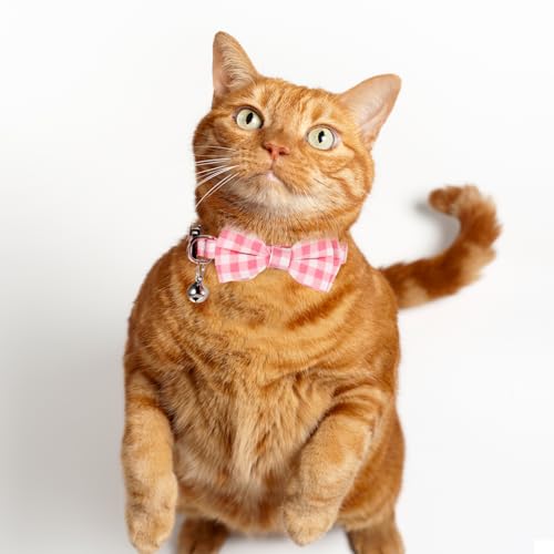 Sliverdew 2 Pcs Kitten Bow Tie Collar with Bell Cute Cat Collar for Girl Boy Cats Breakaway Cat Collars Adjustable Small Puppy Safety Collar Solid Color Plaid Pet Collar (Pink) - color: pink