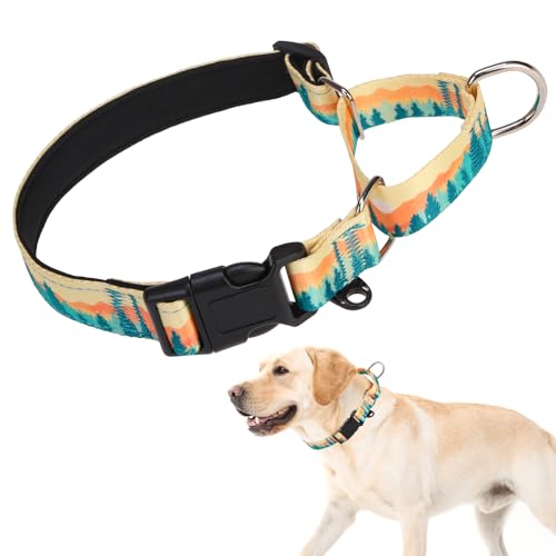 KOOLTAIL Martingale Collar for Dogs for Small Medium Large Dogs, Soft Padded Nylon No Pull Dog Collar with Buckle, Adjustable No Slip Heavy Duty Durable Puppy Training Collar for Boys Girls, Orange L - color: Orange, size: Large