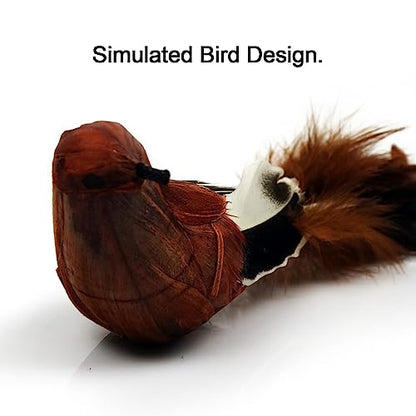 TTcat 2 Pcs Real Feather Cat Bird Toys Realistic Simulation Bird Cat Toys with Bells for Indoor Cats Kittens.
