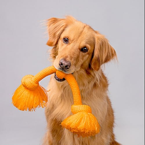 Playology Dog Toys | Dri-Tech Rope Toy Tug of War Rope for Aggressive Chewers | Jumbo Cheddar Cheese Scented Toy - Easy to Clean and Made from Non Toxic Materials - size: Jumbo, style: Cheddar Cheese