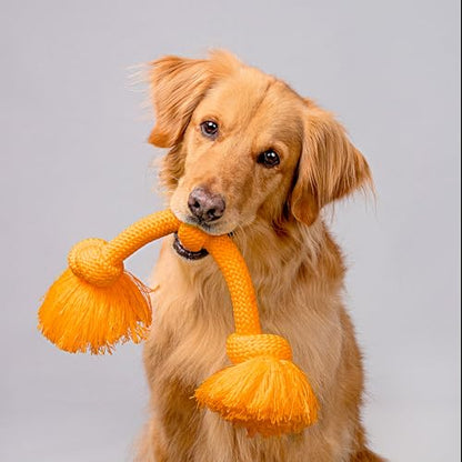 Playology Dog Toys | Dri-Tech Rope Toy Tug of War Rope for Aggressive Chewers | Jumbo Cheddar Cheese Scented Toy - Easy to Clean and Made from Non Toxic Materials - size: Jumbo, style: Cheddar Cheese