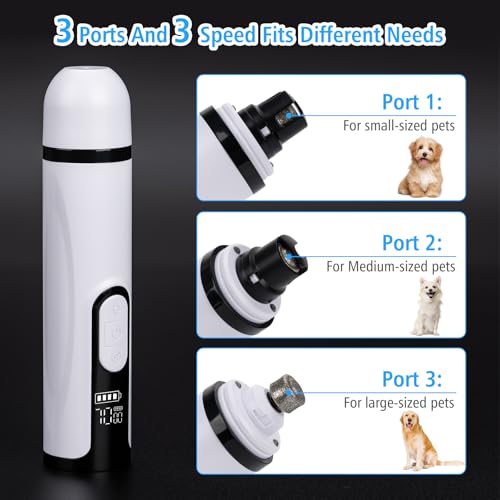 Pet Nail Grinder for Dogs and Cats - Super Quiet and Low Vibration Electric Dog Nail Grinder with 2 LED Lights - USB Rechargeable and Cordless - 3 Speeds - Small to Large Pets (White)