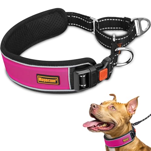 Mayerzon 2 Inch Wide Martingale Collar for Large Dogs, Patented No Pull Walking Training Dog Collar for Pitbull German Shepherd, with Buckle, Reflective Stitching, Adjustable (Hot Pink, XL) - color: Hot Pink, size: XL: 21''-23"
