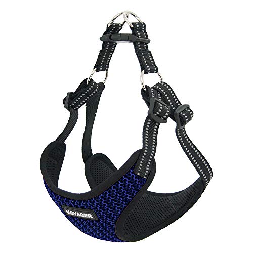 Best Pet Supplies Voyager Adjustable Step-In Flex Breathable Mesh Dog Harness for Small Medium Large Dogs (Baby Blue), XL - color: Harness (Baby Blue), size: XL