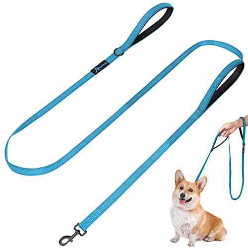 Dog Leash for Small to Medium Dogs 6 ft with 3 Reflective Stitching and 2 Traffic Padded Handles Dog Lead/Rope, Pet Leash for Running Walking Training (6 ft x 0.6 in - Blue 1 Pack) - color: Blue 1 Pack, size: 6 ft x 0.6 in