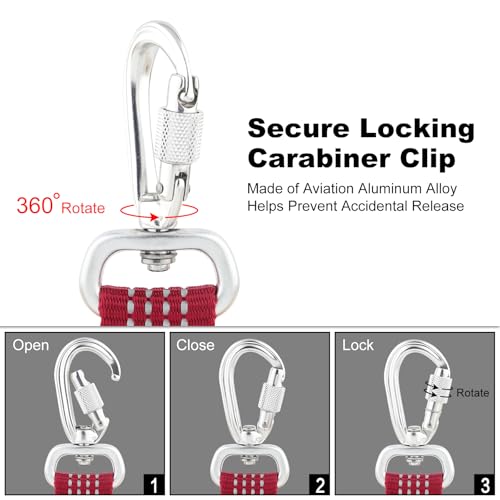 Plutus Pet Heavy Duty Dog Leash with Lockable Aluminum Carabiner, 4/6 Feet Long, Double-Sided Reflective Nylon, Padded Handle, for Puppy, Small, Medium and Large Dogs (Burgundy Red, 1" x 4') - color: Burgundy Red, size: 1" x 4'