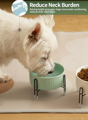 32 OZ Ceramic Dog Cat Bowls with Elevated Metal Stand, 2 Heights Elevated, 6.5 Inch Ceramic Round Pet Food and Water Feeder Bowl Dish for Cats & Dogs, White & Green - color: White & Green