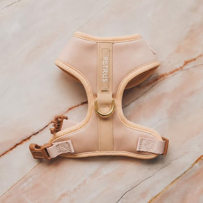 Premium No-Pull Dog Harness Soft Neoprene & Breathable Mesh Vest with Front & Back Clip D-Rings Adjustable Lightweight Walking Harness for Puppies, Small & Medium Dogs (Rose Beige, XS) - color: Rose Beige, size: XS: Neck 10.6-14.2'', Chest 14.2-18.9''