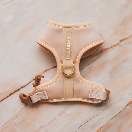 Premium No-Pull Dog Harness Soft Neoprene & Breathable Mesh Vest with Front & Back Clip D-Rings Adjustable Lightweight Walking Harness for Puppies, Small & Medium Dogs (Rose Beige, XXS) - color: Rose Beige, size: XXS: Neck=9.1-13'', Chest=10.6-14.6''