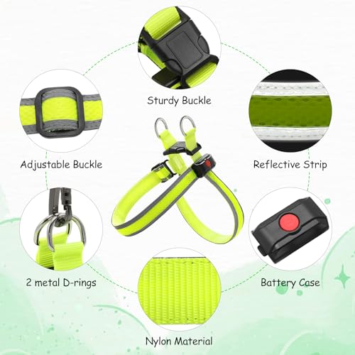 Light Up Dog Harness LED USB Rechargeable Lighted for Night Walking Adjustable Illuminated and Reflective Vest for Small Medium Large Dogs (Green, XS)
