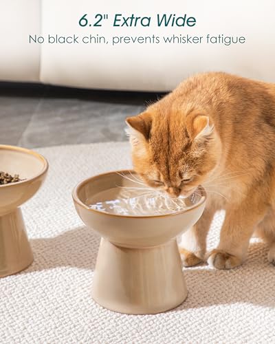 vancasso Ceramic Elevated Cat Bowls 2-Pack - 6.2" Extra Wide Raised Cat Food & Water Dishes, 5.1" Optimal Height Anti-Whisker Fatigue Shallow Bowls for Cats/Kittens/Dogs, Lead & Cadmium Free (Brown) - color: Brown