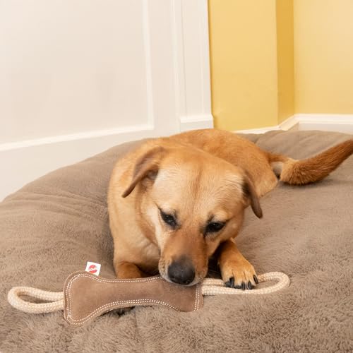 SPOT Dura-Fused Leather Bone Tug Dog Toy – Durable Real Leather & Jute Chew Toy with Double Rope Handles & Squeaker, For Moderate Chewers, 18in - size: 18 in