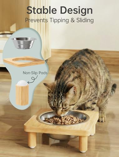 NiHome Elevated Cat Bowls with Food Mat for Indoor Cats, 5 Feeding Positions Raised Cat Bowl Bamboo Stand with 2 Stainless Steel Bowls, Whisker Friendly Dishwasher Safe Pet Food and Water Bowl