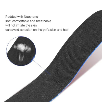 Dog Collars Adjustable for Puppy and Small Dogs,Heavy Duty Waterproof Dog Collar with Quick Release Buckle,Girl Boy Female Male Reflective Nylon Dog Collar with Soft Neoprene Padded,XS,Navy Blue - color: Navy Blue, size: X-Small