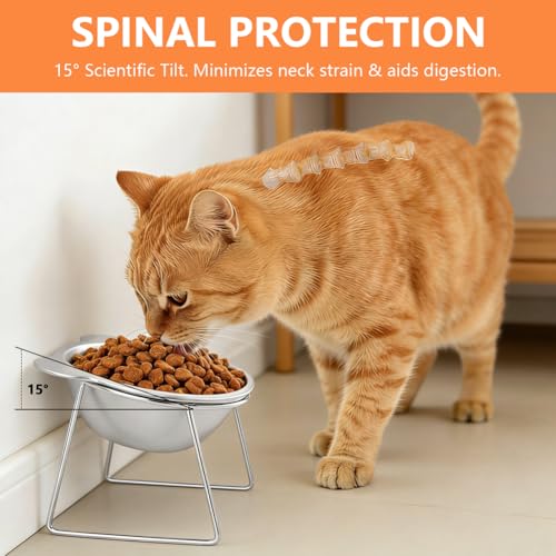 2 Pack Elevated Cat Bowls, 15° Tilted Stainless Steel Raised Cat Dishes for Food and Water, Whisker-Friendly Design with Non Slip Base and Scoop for Small Cats and Dogs