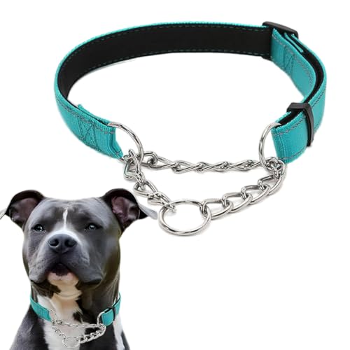 Martingale Collar for Dogs, Reflective Nylon Soft Padded No Pull Training Collars Adjustable Stainless Steel Chain Collar for Small Medium Large Dogs Teal Small - color: Teal, size: Small (Neck for 12-15")
