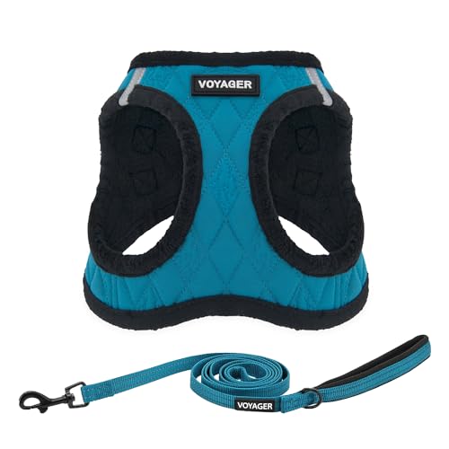 Best Pet Supplies Voyager Step-in Plush Dog Harness - Soft, Step in Vest Harness and Reflective Dog 5 ft Leash Combo with Neoprene Handle for Small and Medium Dogs, Turquoise Plush, S - color: Harness Leash Set (Turquoise Plush), size: S (Chest: 14.5 - 16