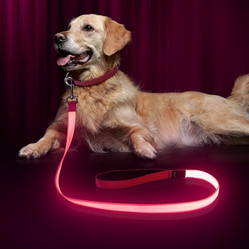 LED Dog Leash with Light - 4 Feet, Rechargeable, Nylon Webbing, Glow Safety Standard Dog Leash (Pink) - color: Pink, size: 4 Feet