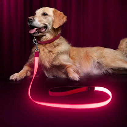 LED Dog Leash with Light - 4 Feet, Rechargeable, Nylon Webbing, Glow Safety Standard Dog Leash (Pink) - color: Pink, size: 4 Feet