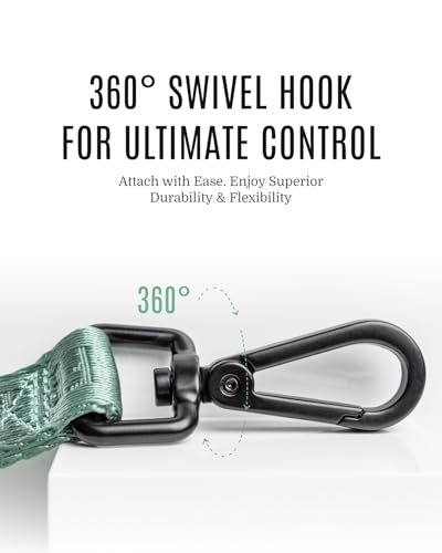 Fei & Eve Classic Dog Leash - 4FT, Dual Padded Handles, 360° Swivel Hook, Heavy Duty 210D Nylon - No-Pull Design with Traffic Control Handle - for Small/Medium/Large Dogs, Green - color: Glacier Green, size: 4FT