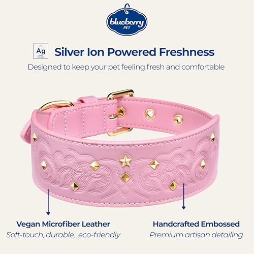 Blueberry Pet Premium Embossed Pink Glam Silver-Powered Freshness Microfiber Leather Dog Collar with Gold Studs - color: Pink, size: Medium