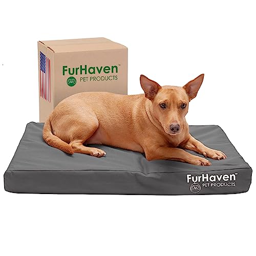 Furhaven Water-Resistant Orthopedic Dog Bed for Medium/Small Dogs w/ Removable Washable Cover, For Dogs Up to 35 lbs - Indoor/Outdoor Logo Print Oxford Polycanvas Mattress - Stone Gray, Medium - color: Water-Resistant Logo Print (Stone Gray), size: Medium