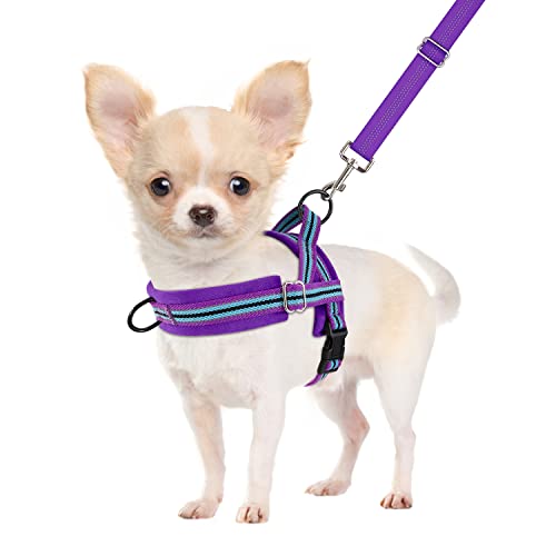 SlowTon No Pull Small Dog Harness and Leash Set, Puppy Soft Vest Harness Neck & Chest Adjustable, Reflective Lightweight Harness & Anti-Twist Pet Lead Combo for Small Medium Dogs (PU-Front Clip, XXS) - color: B-Purple - With Front Clip, size: XX-Small