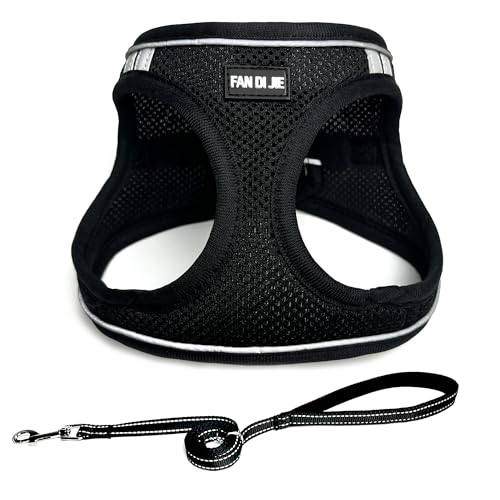Dog Harness and Leash Set, No Pull Soft Mesh Pet Harness -in Puppy Pet Vest Harnesses for XS,Small,Medium Dogs and Cats Black-XS - color: Black, size: XS (Chest: 12.5-14")