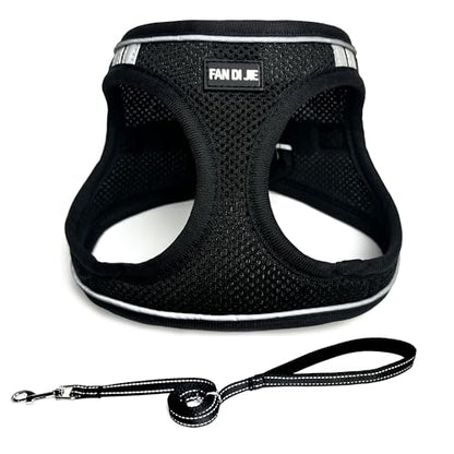 Dog Harness and Leash Set, No Pull Soft Mesh Pet Harness -in Puppy Pet Vest Harnesses for XS,Small,Medium Dogs and Cats Black-XS - color: Black, size: XS (Chest: 12.5-14")