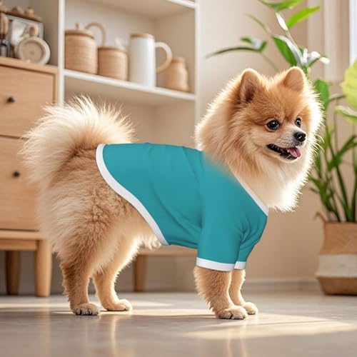 SWEET TANG Dog Lightweight T-Shirt Cyan, Cool Breathable Stretchy Small Dog Shirts, Soft Pet Shirts for Puppy Kitty Cats, Small - color: Pattern (111), size: Small