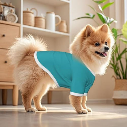SWEET TANG Dog Lightweight T-Shirt Cyan, Cool Breathable Stretchy Small Dog Shirts, Soft Pet Shirts for Puppy Kitty Cats, Small - color: Pattern (111), size: Small